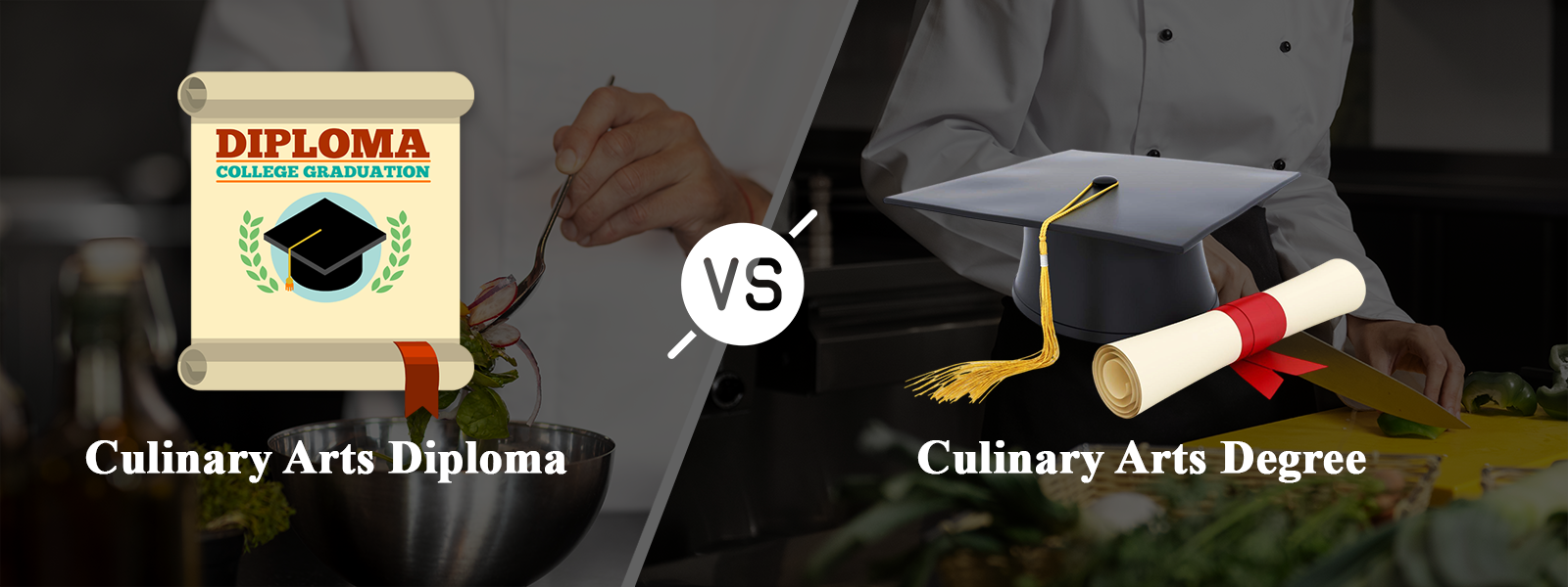 Culinary Arts Diploma vs Degree: Deciding the Right Path for Aspiring Chefs