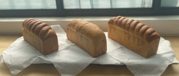 Brioche Bread Recipe: The Ultimate Guide to Rich, Buttery French Bread at Home